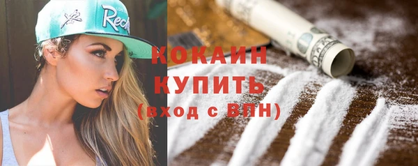 прущие грибы Няндома
