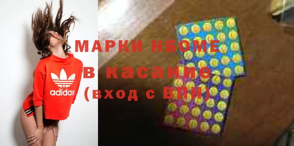 прущие грибы Няндома