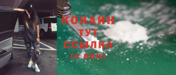 прущие грибы Няндома