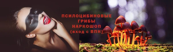 прущие грибы Няндома