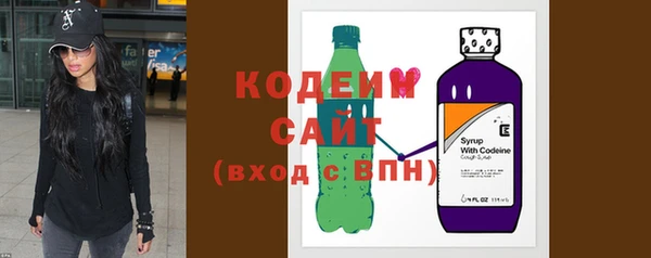 прущие грибы Няндома