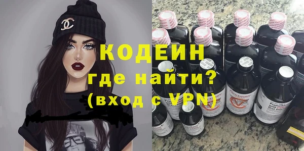 прущие грибы Няндома