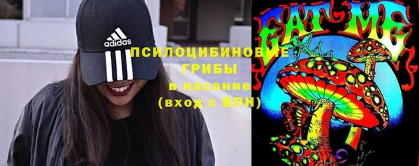 мдпв Нязепетровск