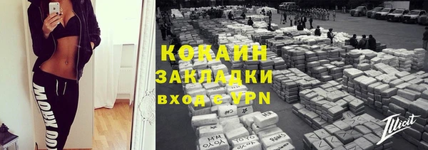 прущие грибы Няндома