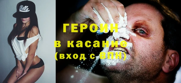 прущие грибы Няндома