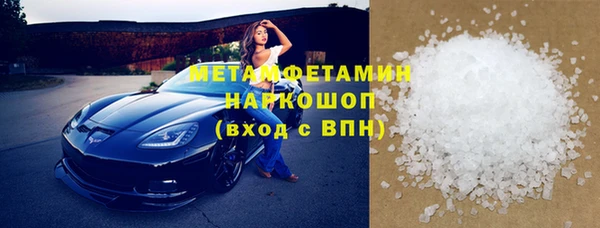 прущие грибы Няндома