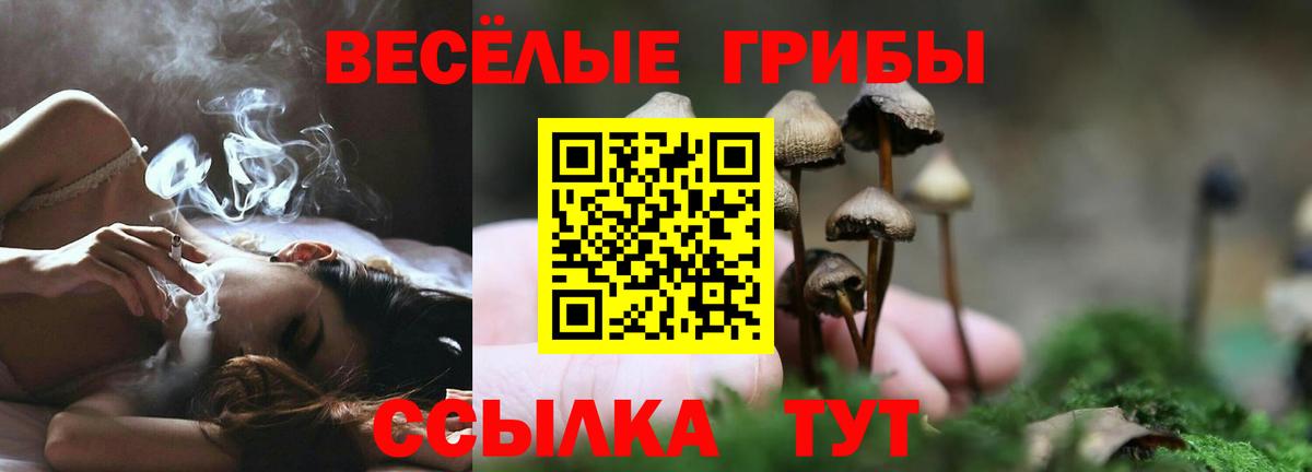 Псилоцибиновые грибы Magic Shrooms  Галлюциногенные грибы мухоморы  Вход с VPN  Чита 